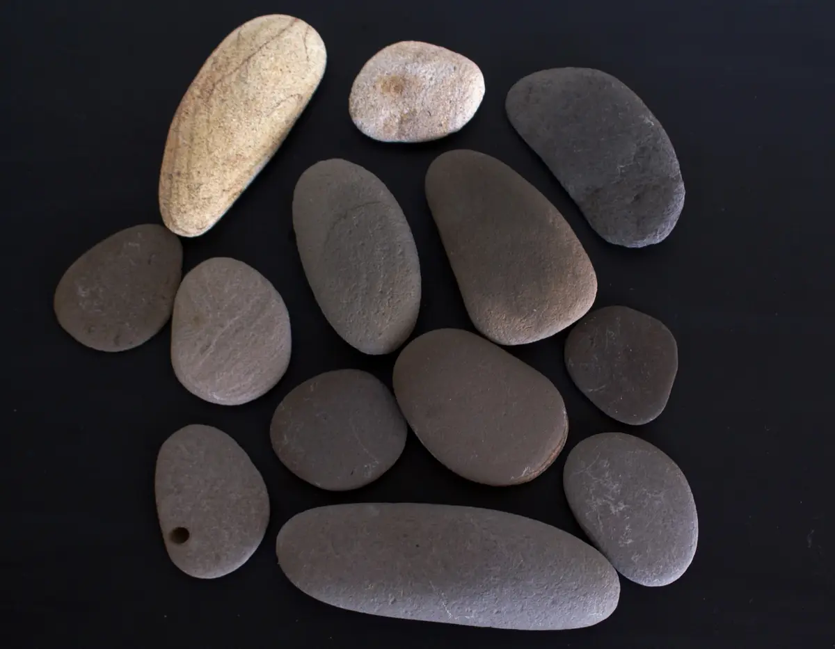 海で拾った平たい石｜園芸日記byディスカス｜みんなの趣味の園芸｜272780