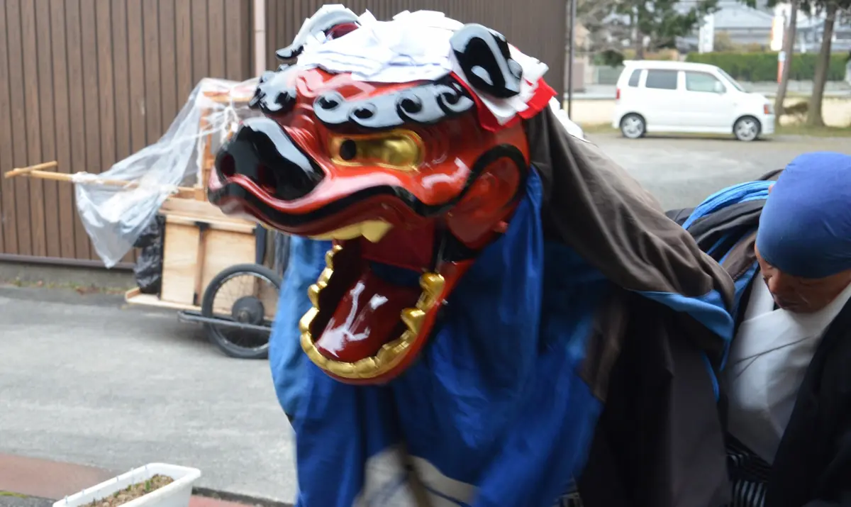 今日は獅子舞です。｜園芸日記by赤いハナミズキ｜みんなの趣味の園芸 