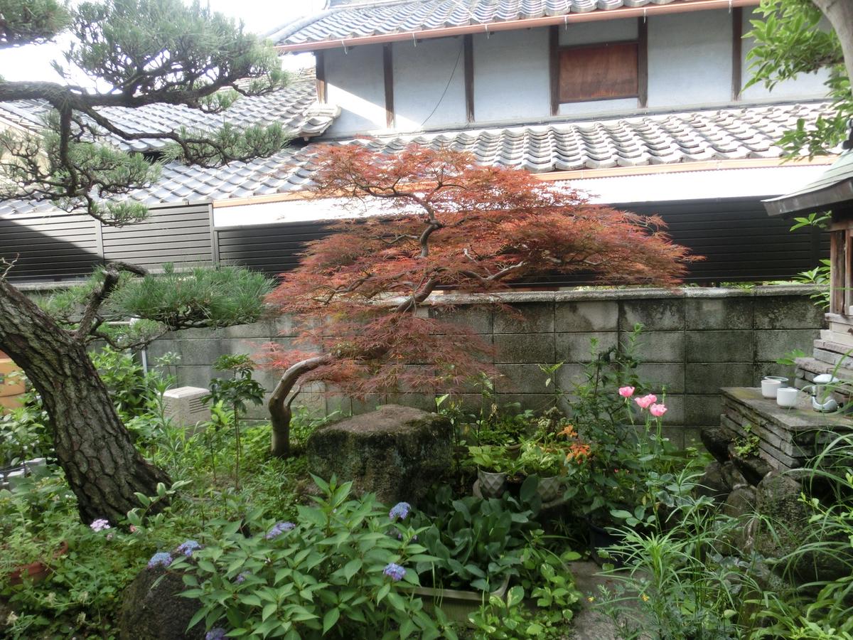 羽衣モミジ