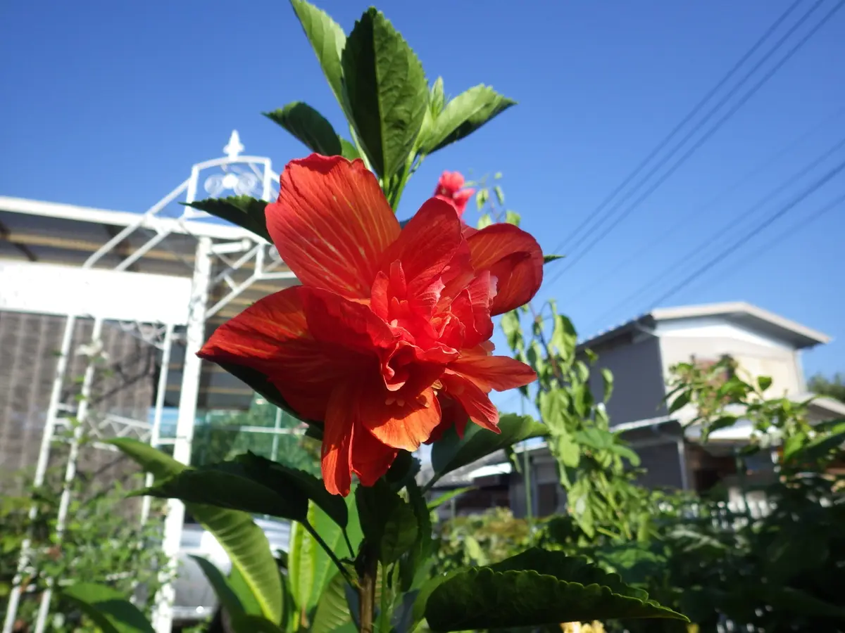 img_cache_d_329497_1_147289124