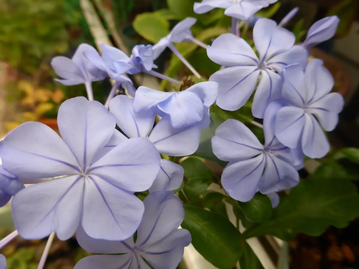 img_cache_d_344694_1_147942467