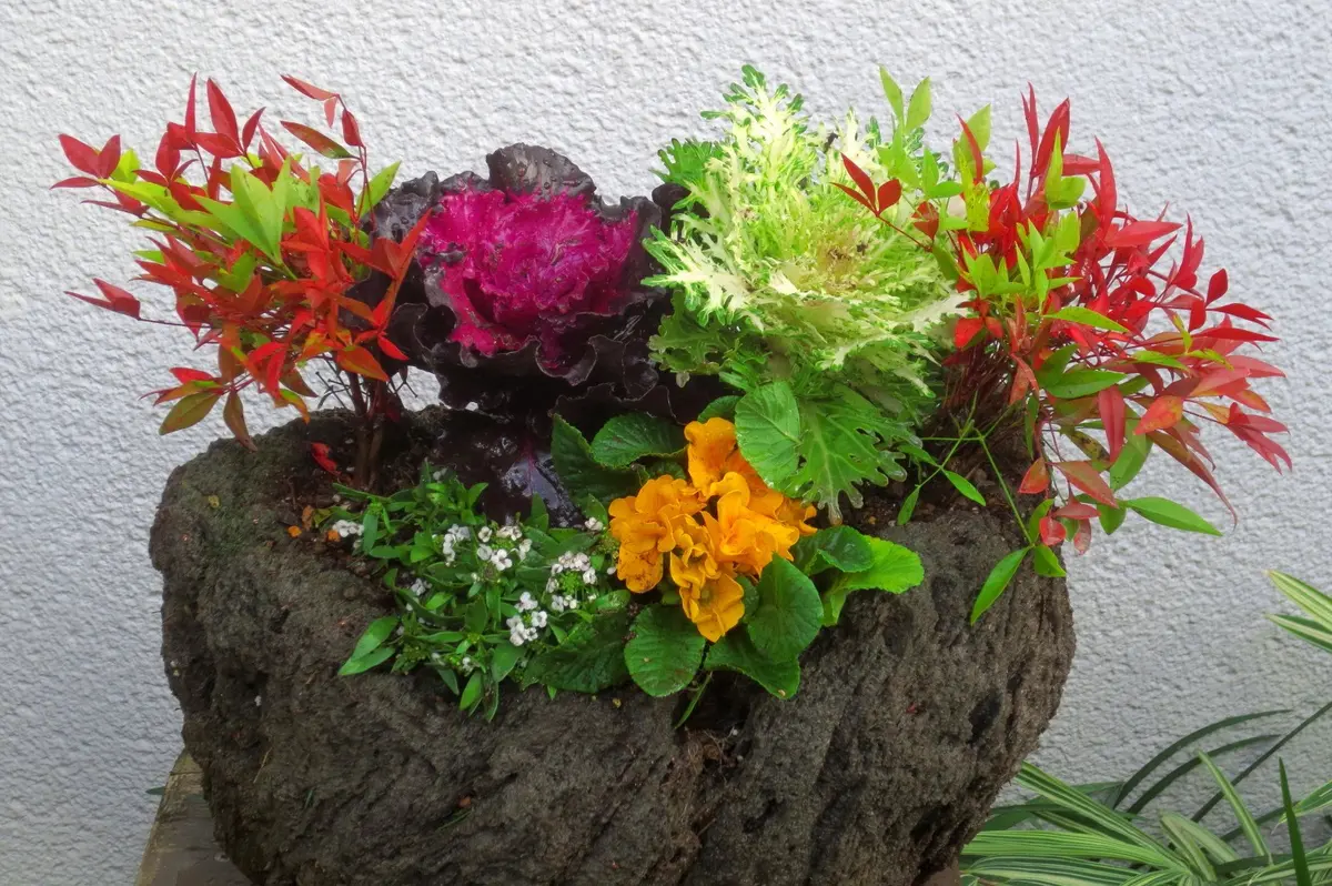 【天然石・石鉢・寄せ植え鉢・多肉植物鉢・盆栽鉢・山野草鉢・和鉢】庭石オブジェ箱庭 楽天市場】多肉植物 寄せ植え プレゼント 鉢花 プレゼント ウッド