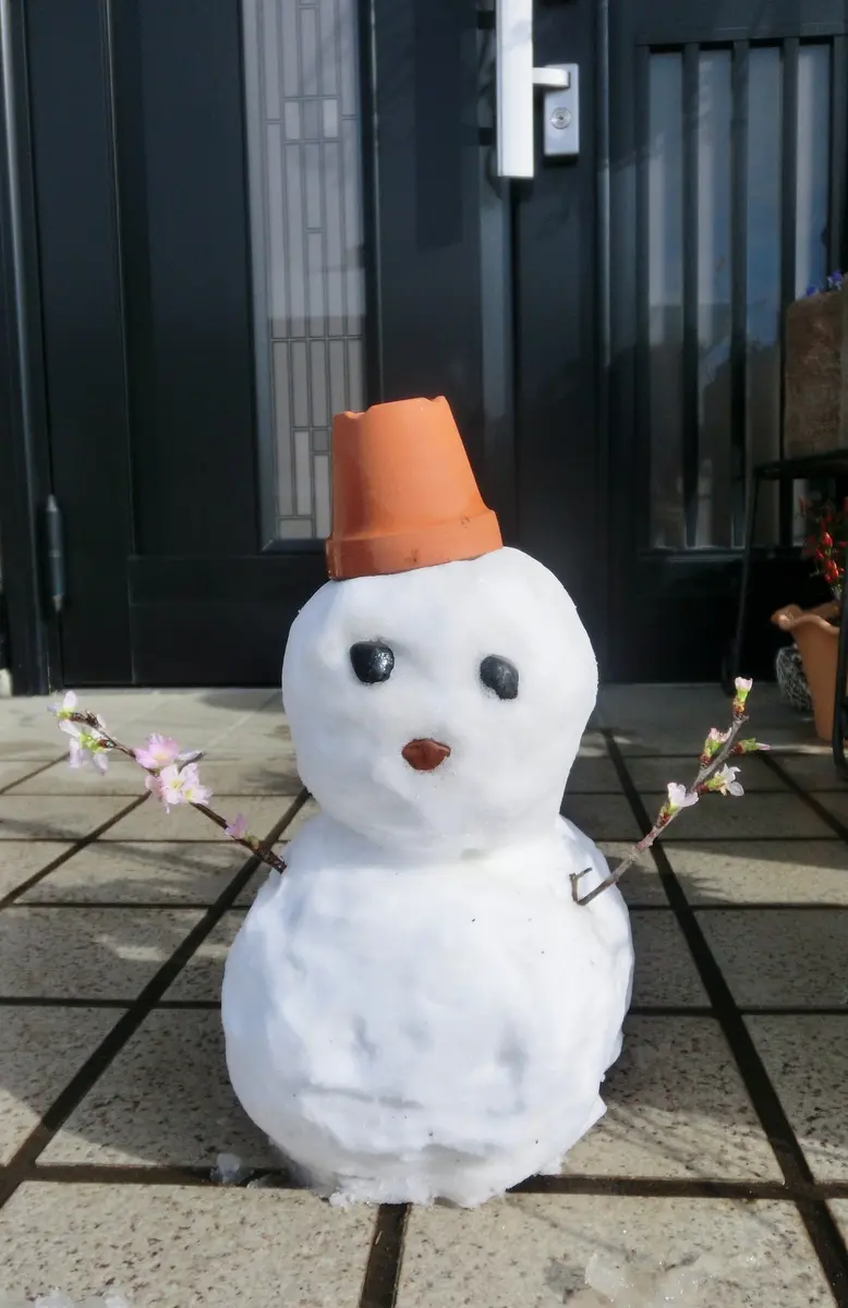 雪遊び｜園芸日記byfuchi｜みんなの趣味の園芸｜354519 