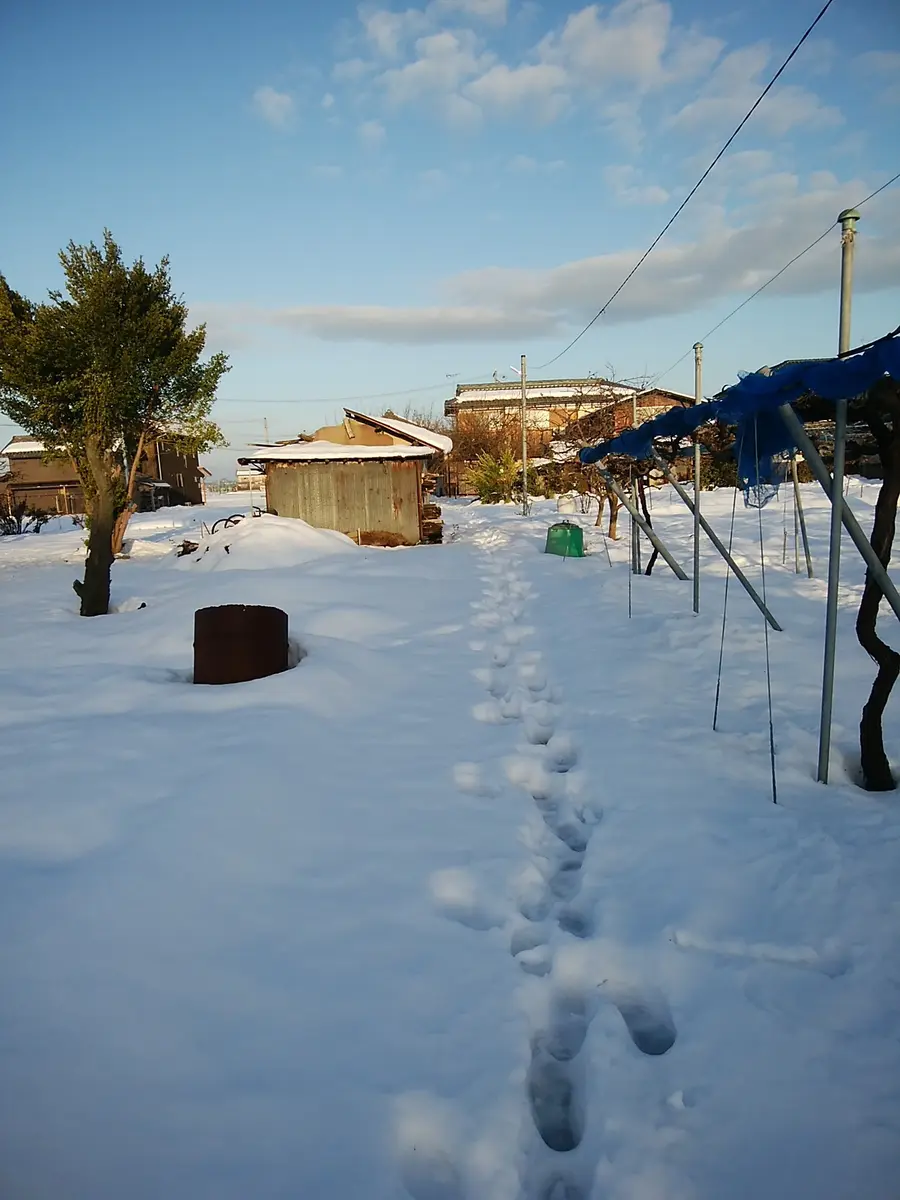 雪の降った日の廃屋 雪の降った日の廃屋 （廃墟旅シリーズvol.7前編【奇跡の茨城縦断