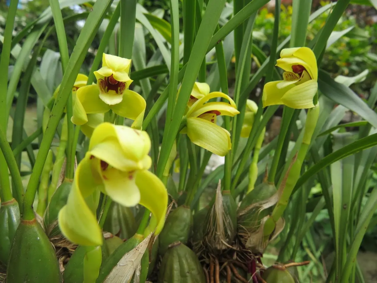 ムーミン　ニョロニョロ お花畑の置物　2004セキグチ　SEKIGUCHI ムーミン ニョロニョロ お花畑の置物 2004セキグチ SEKIGUCHI ムーミン