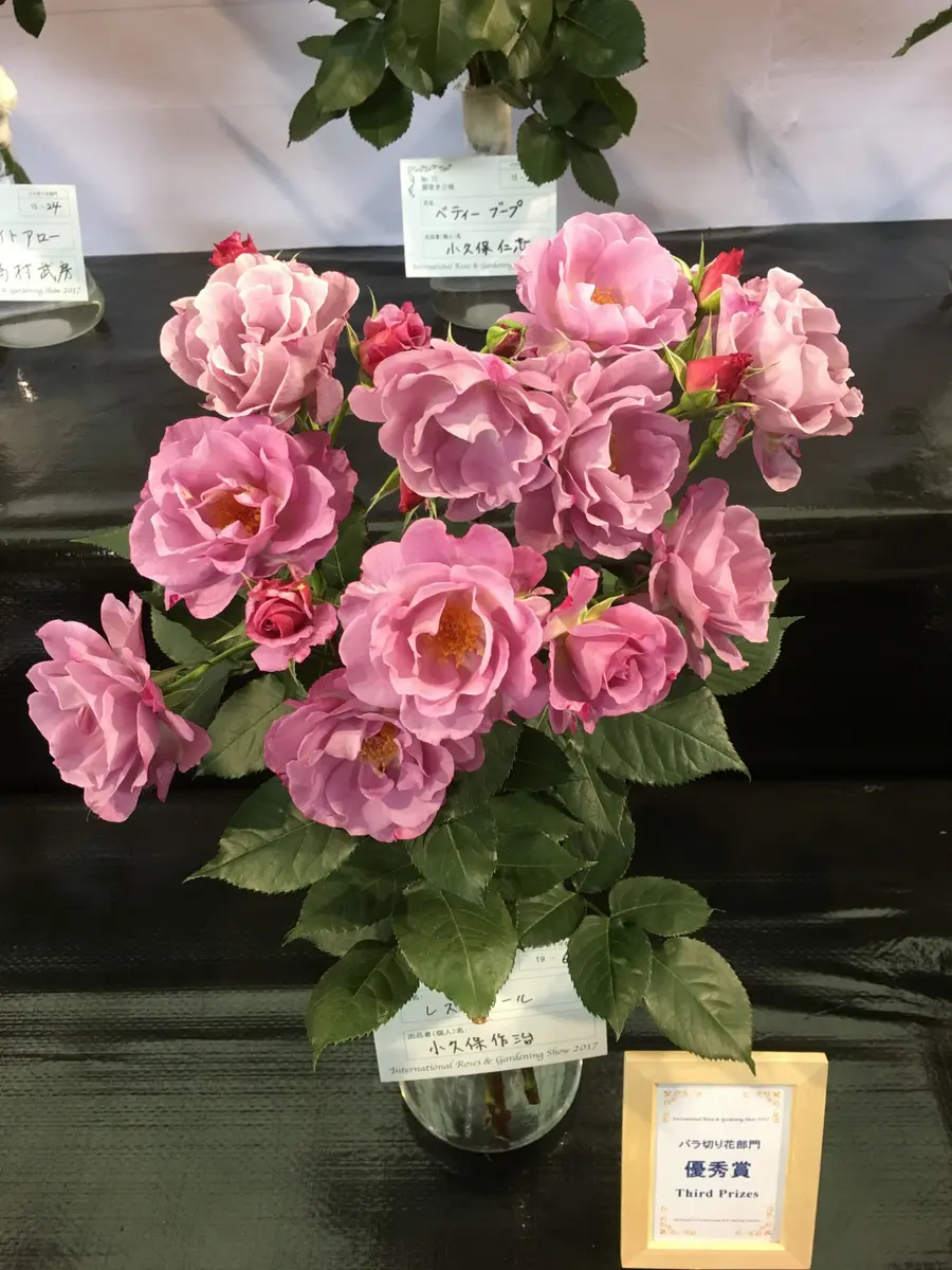 🌹国バラに行ってきました〜💕｜園芸日記byローズナクレbis