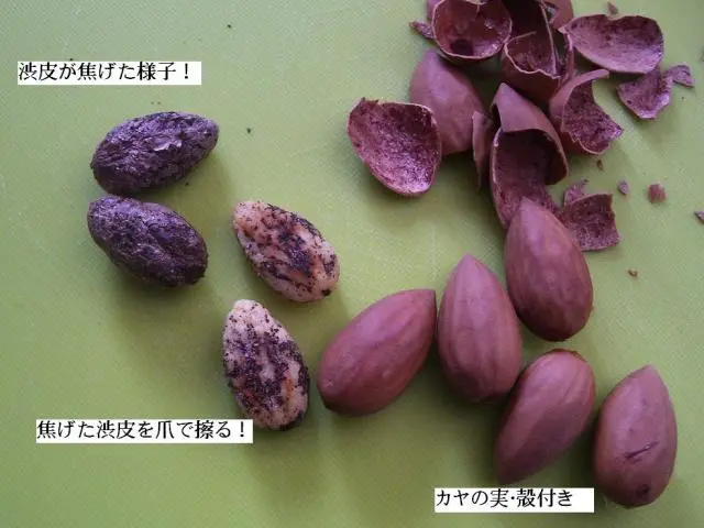 ♪～「カヤの木山の」｜園芸日記byhanura｜みんなの趣味の園芸｜40948