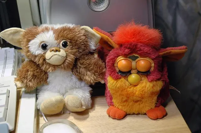 綺麗になりました。｜園芸日記byジャカランダ｜みんなの趣味の園芸｜41835 