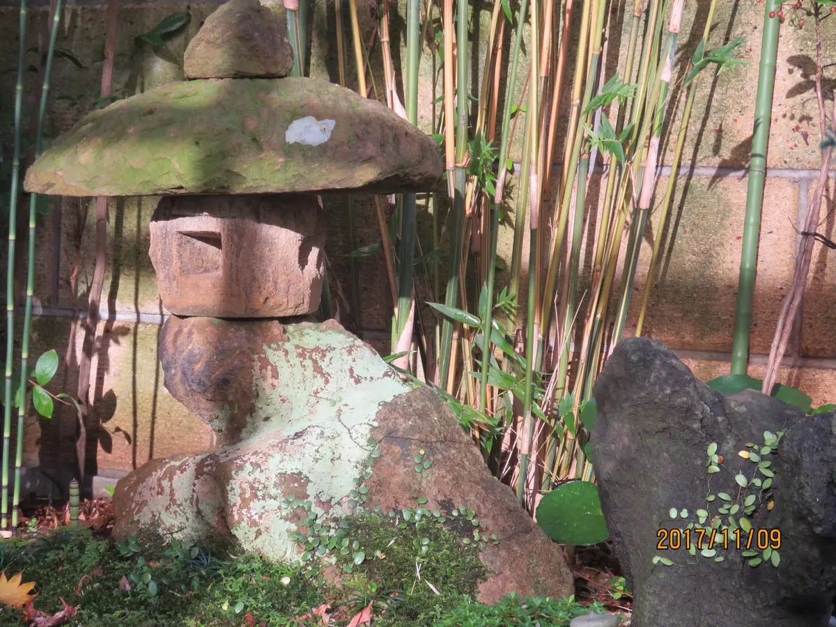 最低価格の 苔庭・夕日の石灯篭｜園芸日記byくろのすけ｜みんなの趣味の園芸 その他
