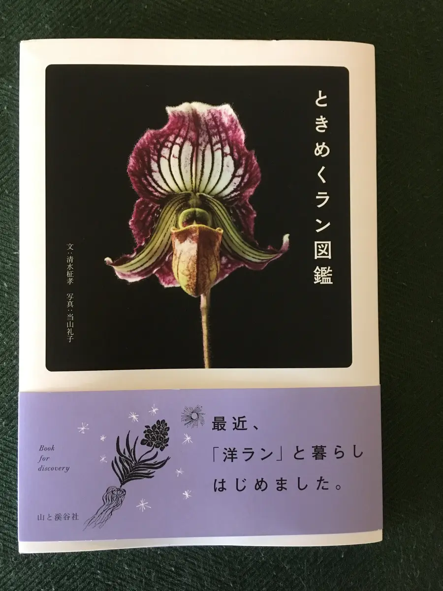 蘭の本｜園芸日記bymo'mo｜みんなの趣味の園芸｜442232