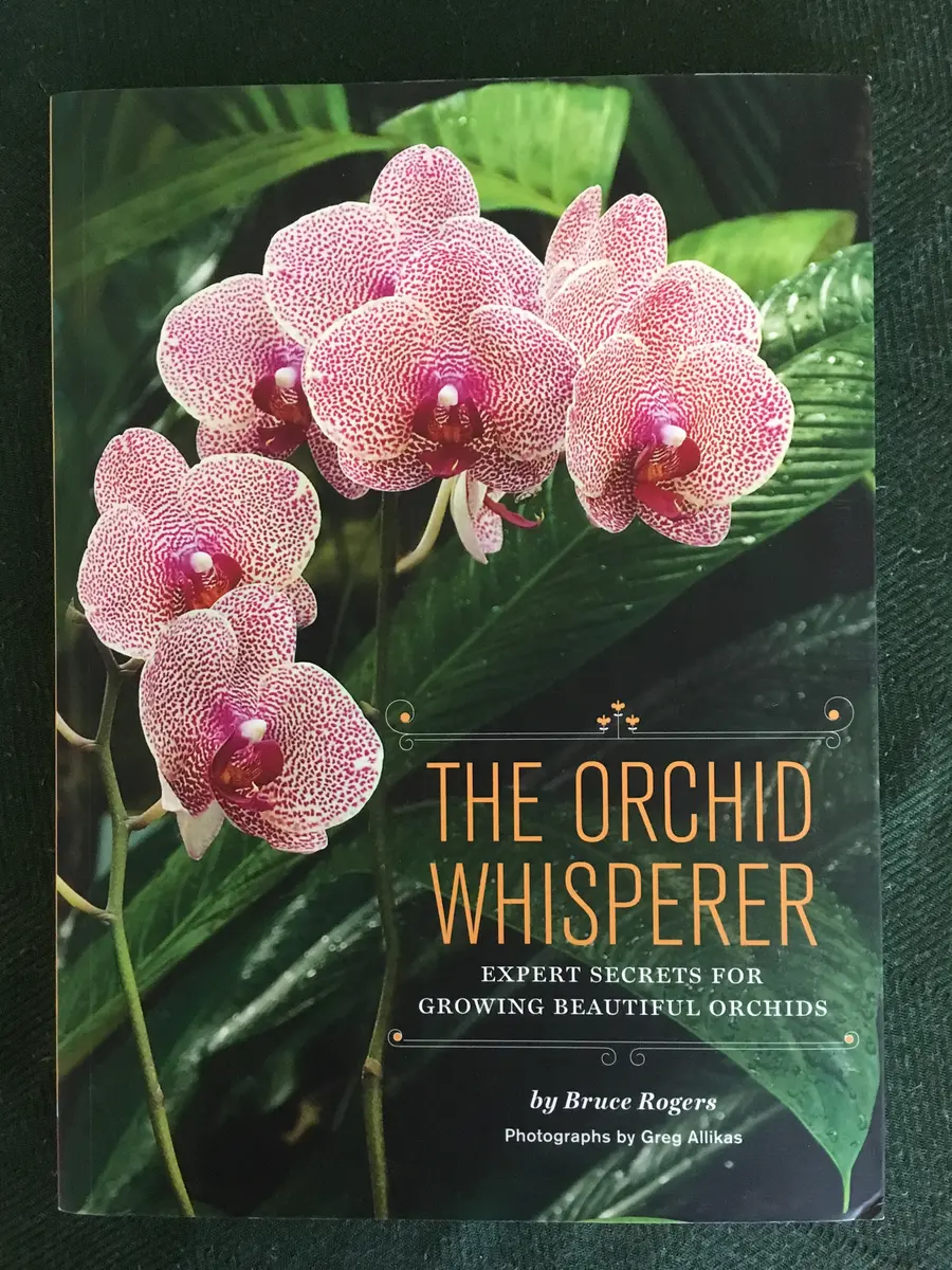 洋書◆蘭の写真集 本 ロマンスと神秘の花 植物 ラン 洋書 蘭の写真集 本 ロマンスと神秘の花 植物 ラン｜Yahoo!フリマ（旧