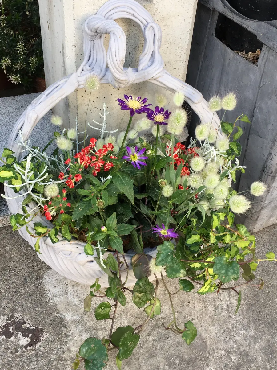 ゆり 紲鉢 綱木紋 植木鉢 新品 観葉植物 ミックスカラー スリット