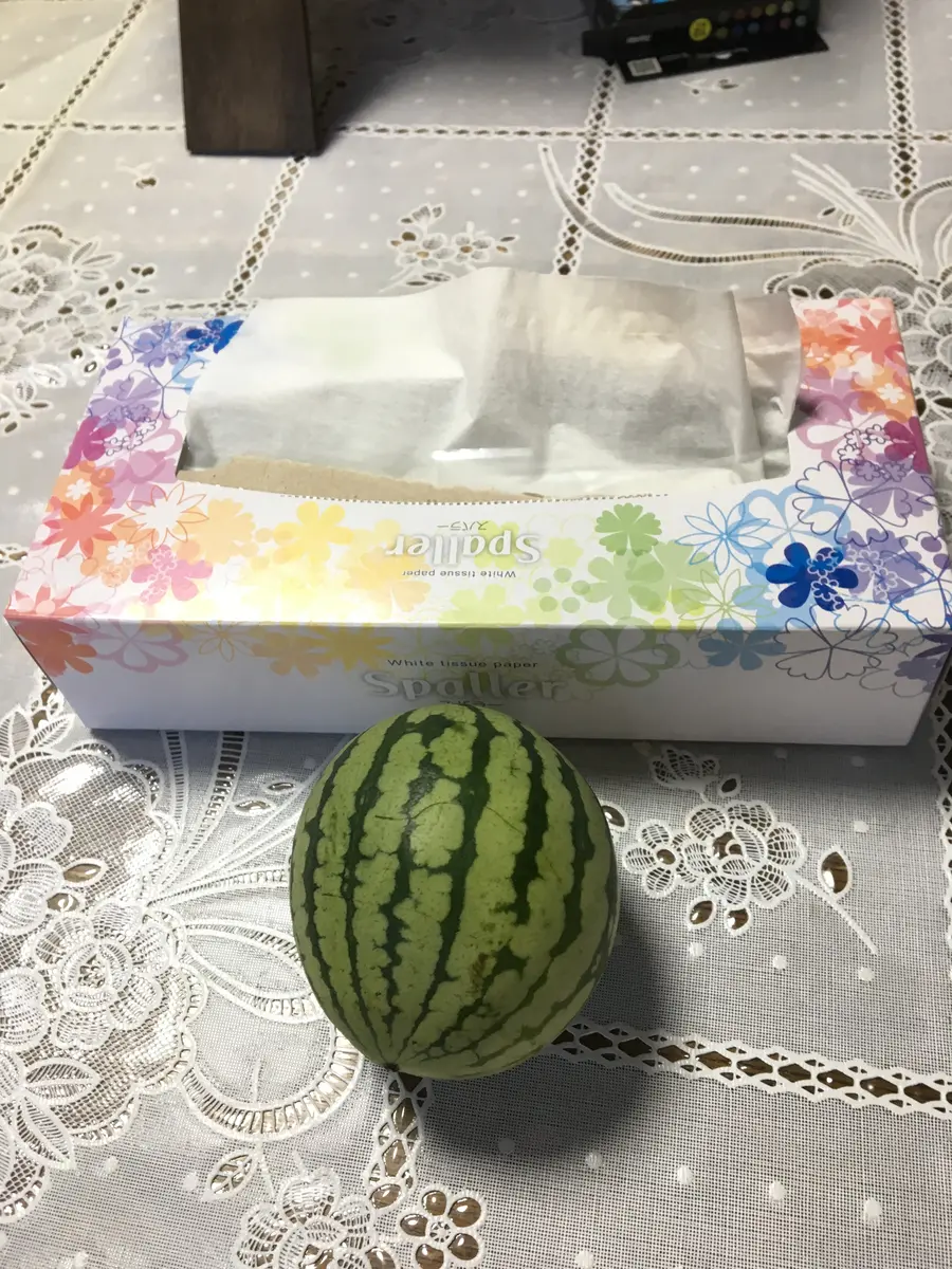 甥っ子と物々交換｜園芸日記byあずきもち｜みんなの趣味の園芸｜499331
