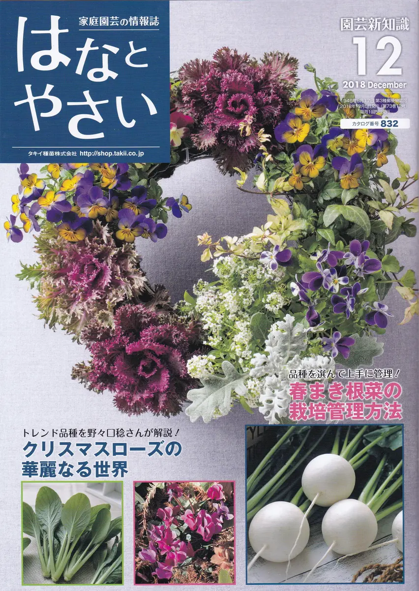 園芸新知識はなとやさい」12月号｜園芸日記by野々口稔｜みんなの趣味の園芸｜522897