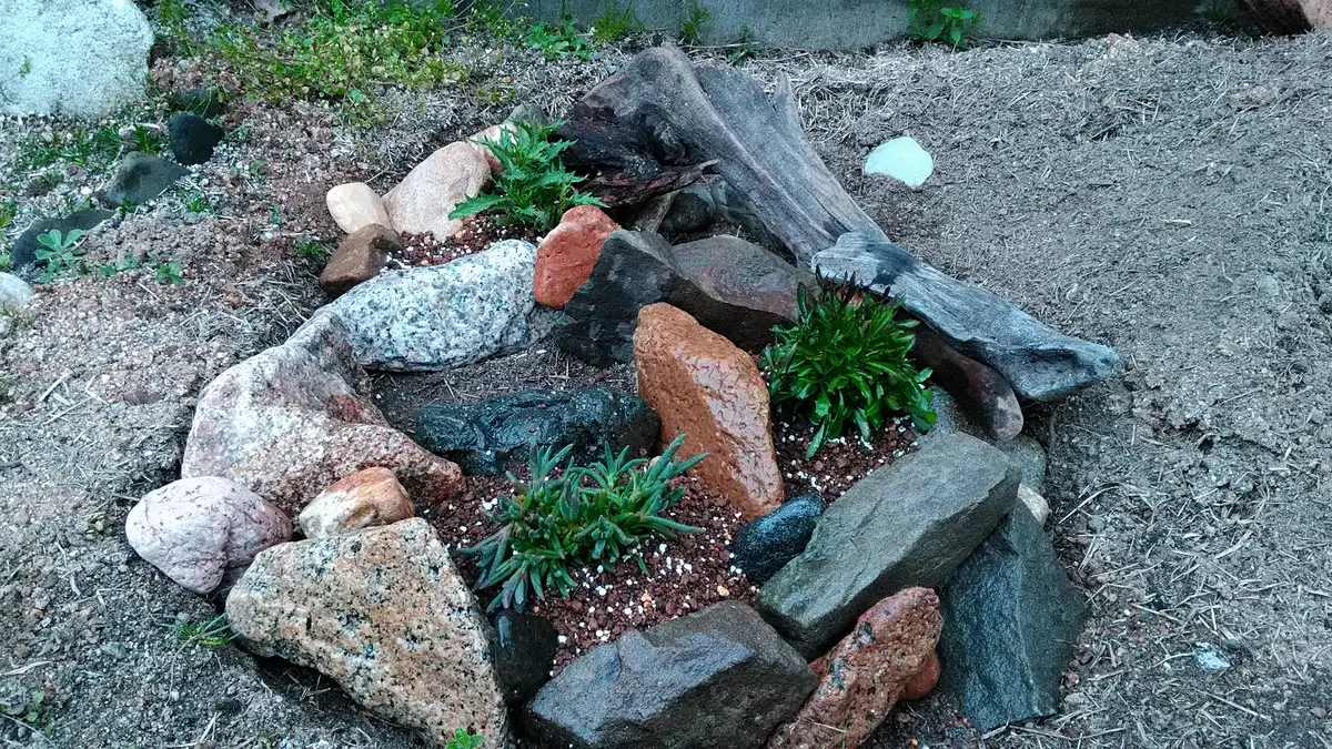 AX18【超大型流木】ロックガーデン向き/爬虫類等レイアウト用品（洗浄済） AX18【超大型流木】ロックガーデン向き/爬虫類等レイアウト用品