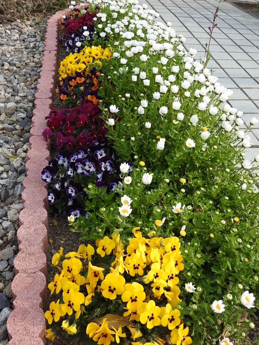 img_cache_d_552182_1_155381859  