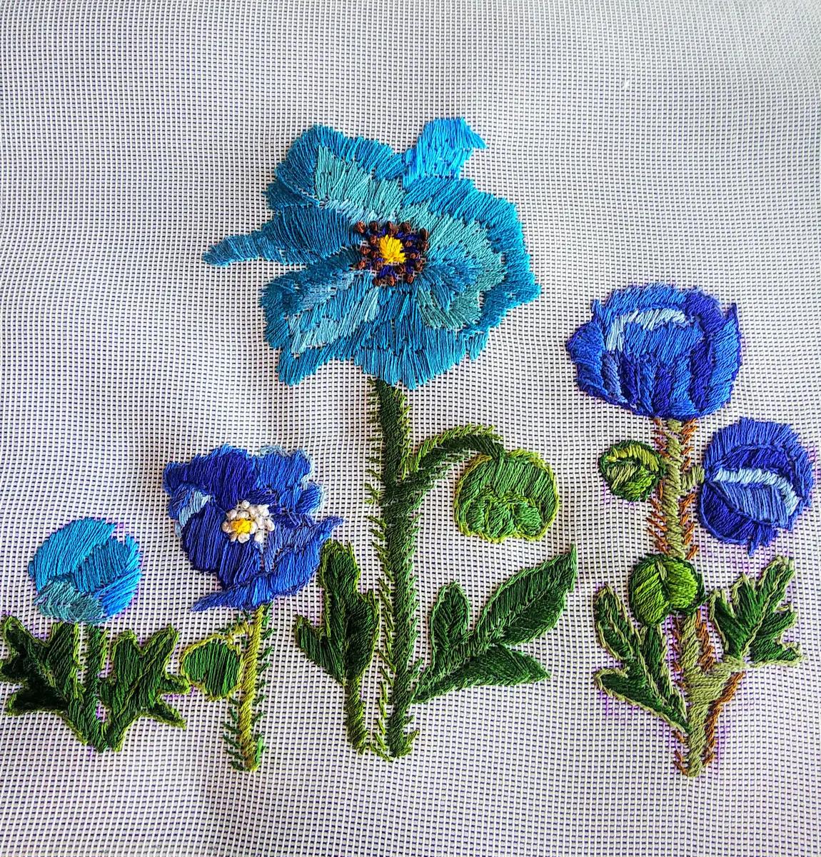 ブルーポピーの刺繍完成🎵｜園芸日記byjictenko｜みんなの趣味の園芸