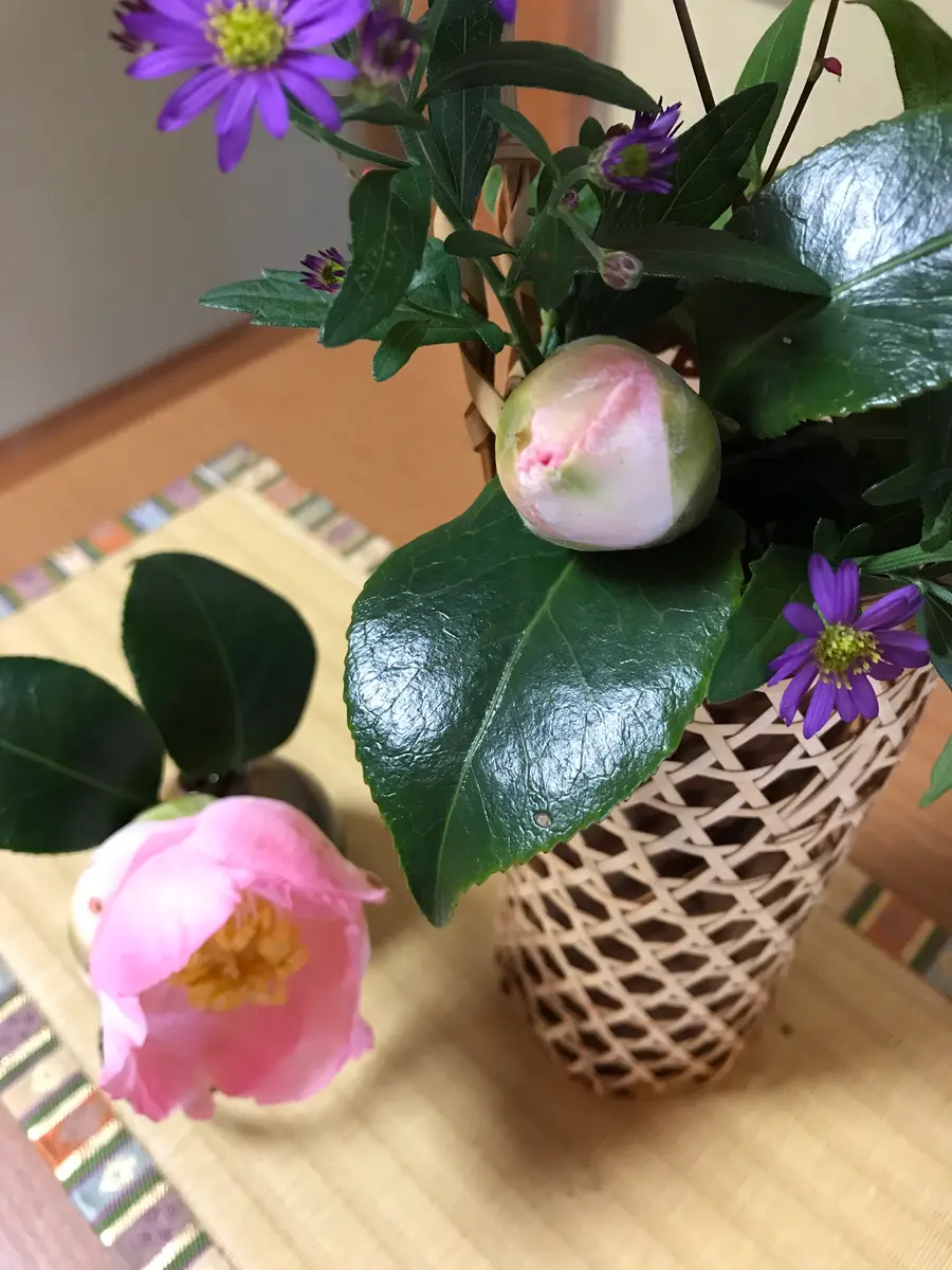 椿美 椿美夜姫｜園芸日記byミヨコちゃん｜みんなの趣味の園芸｜623653