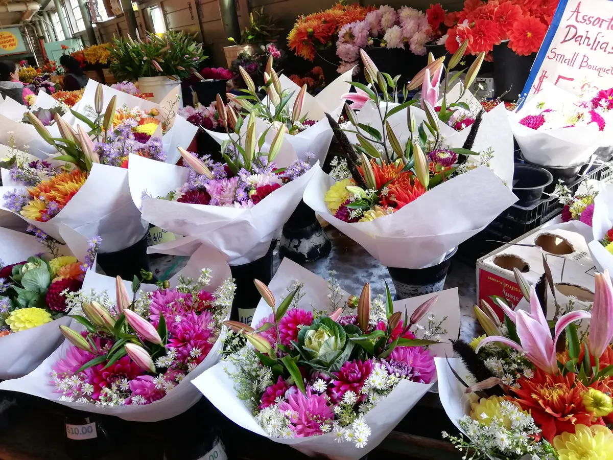 これで10ドル!?｜園芸日記byかよぽち｜みんなの趣味の園芸｜624992