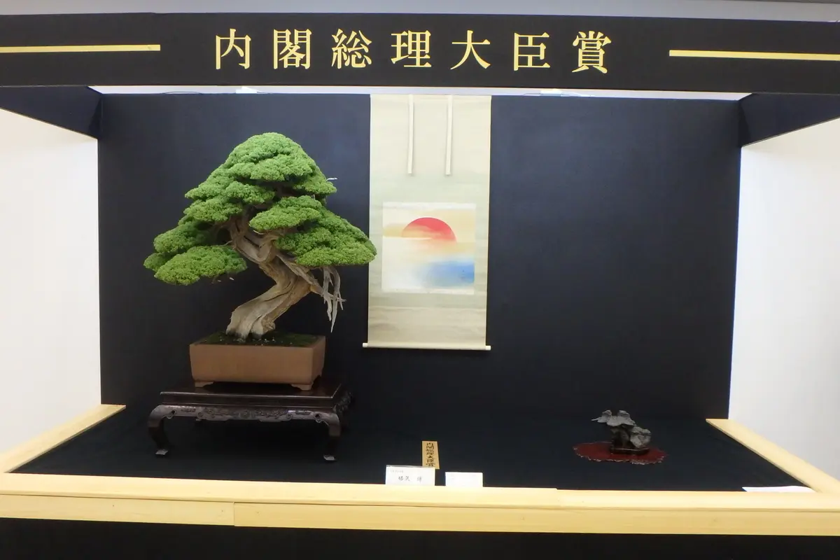 日本盆栽大観展 第42回日本盆栽大観展 | 京都新聞アート＆イベント情報サイト