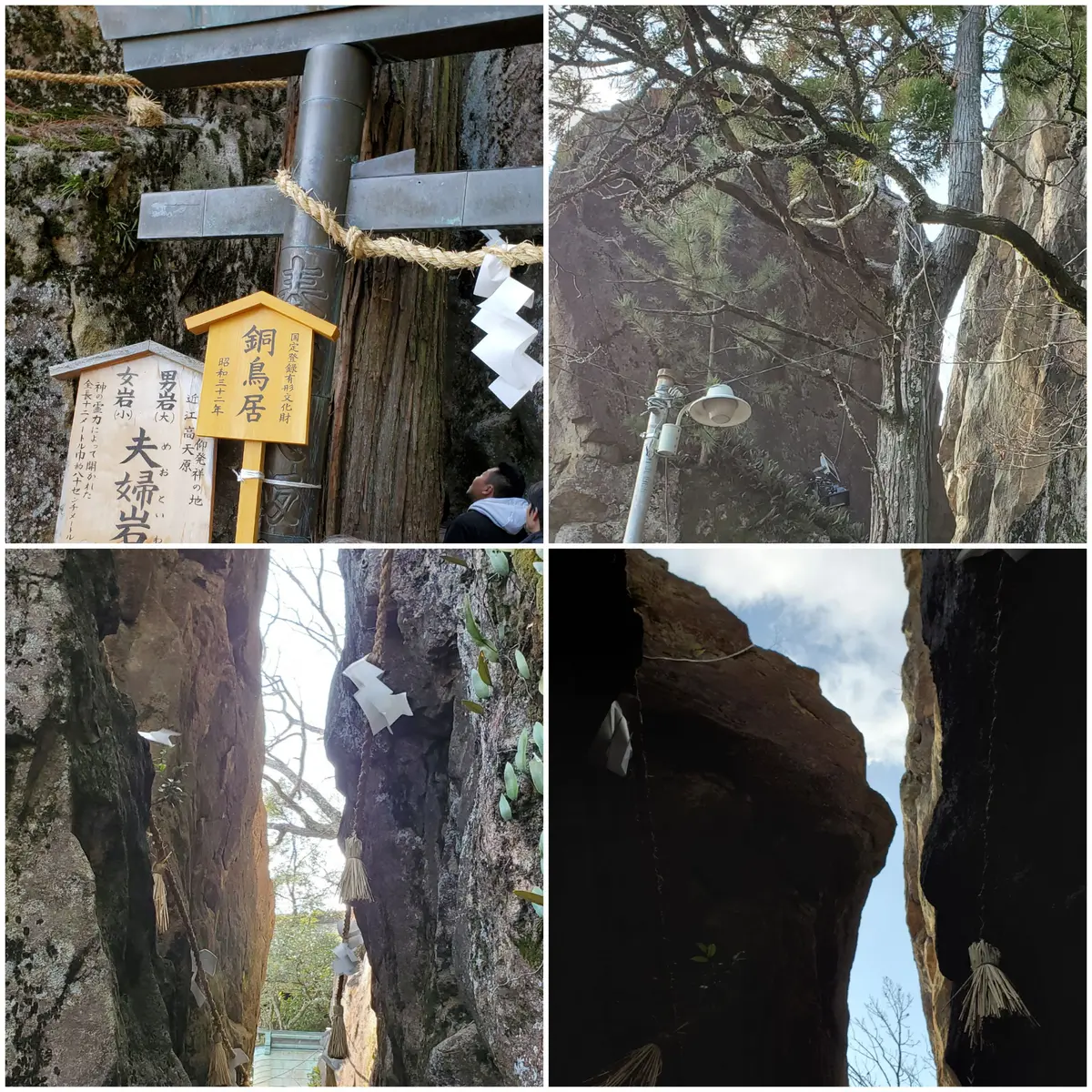 太郎坊宮へ｜園芸日記byかおりん｜みんなの趣味の園芸｜639180