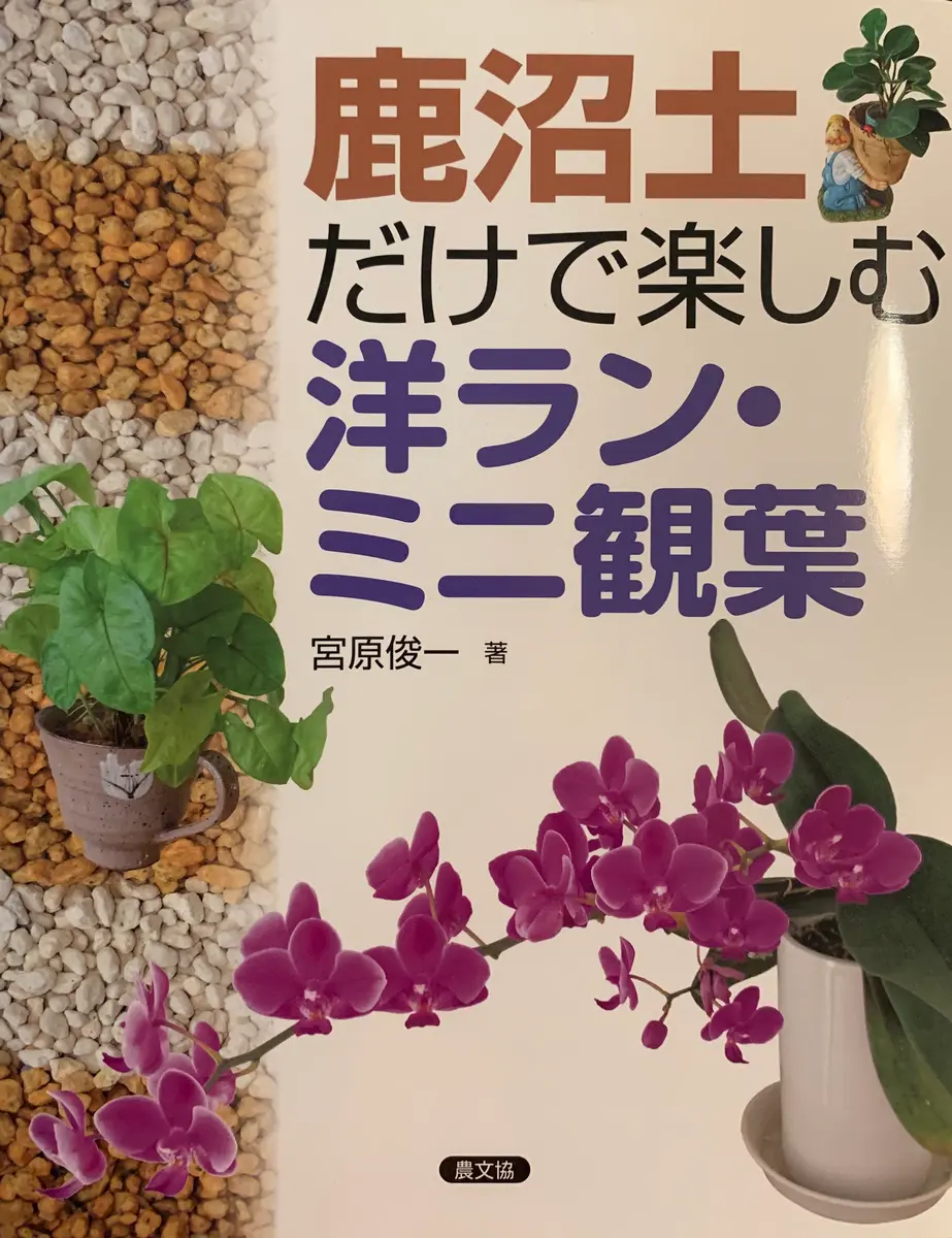 蘭栽培と鹿沼土(かぬまつち)｜園芸日記bymo'mo｜みんなの趣味の園芸