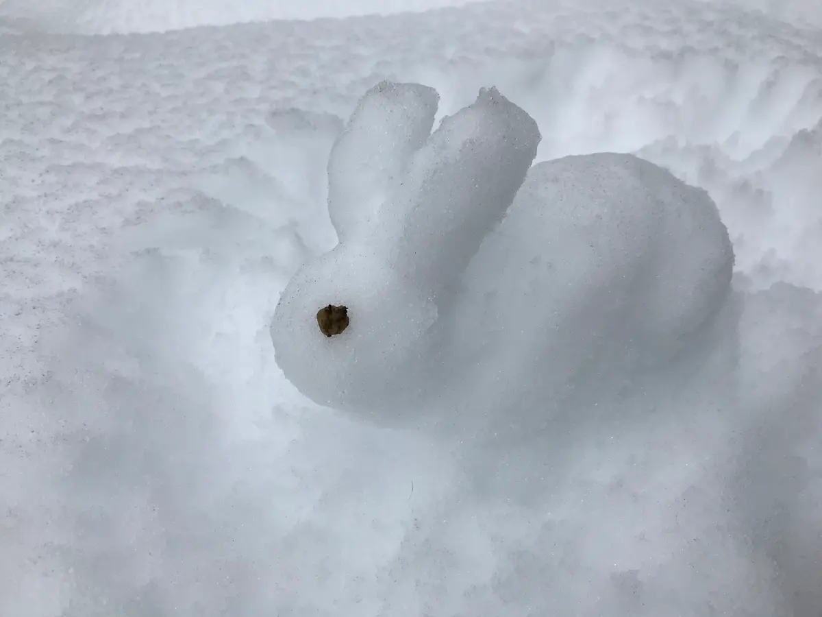 Amazon.co.jp: 吉徳 雪うさぎ : -: おもちゃ
