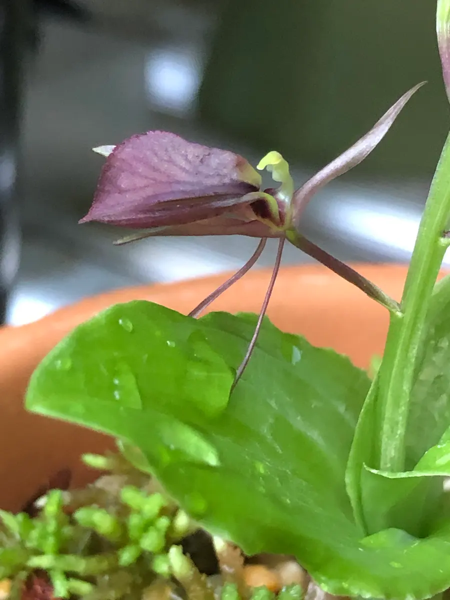 img_cache_d_689426_1_159089252