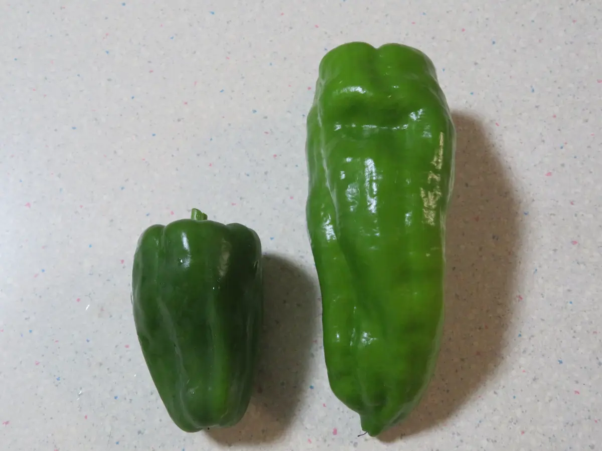 これぞ、ジャンボピーマン！！｜園芸日記bymuraちゃん｜みんなの趣味の
