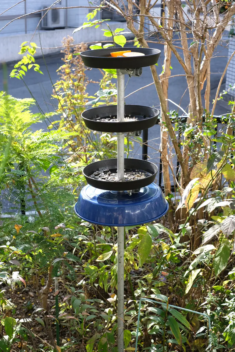 野鳥の餌台｜園芸日記byるーたん｜みんなの趣味の園芸｜750911