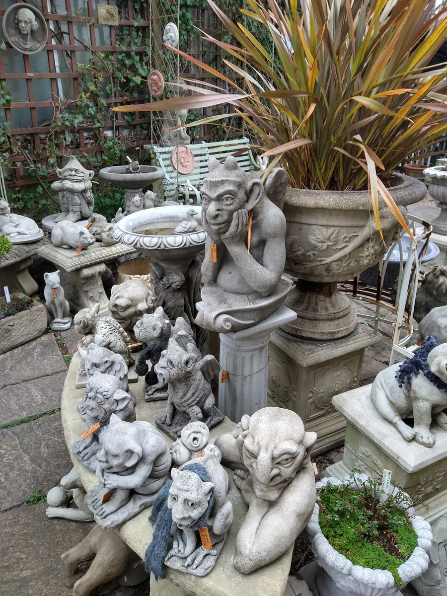 ワンダーデコール｜園芸日記byかよぽち｜みんなの趣味の園芸｜781458