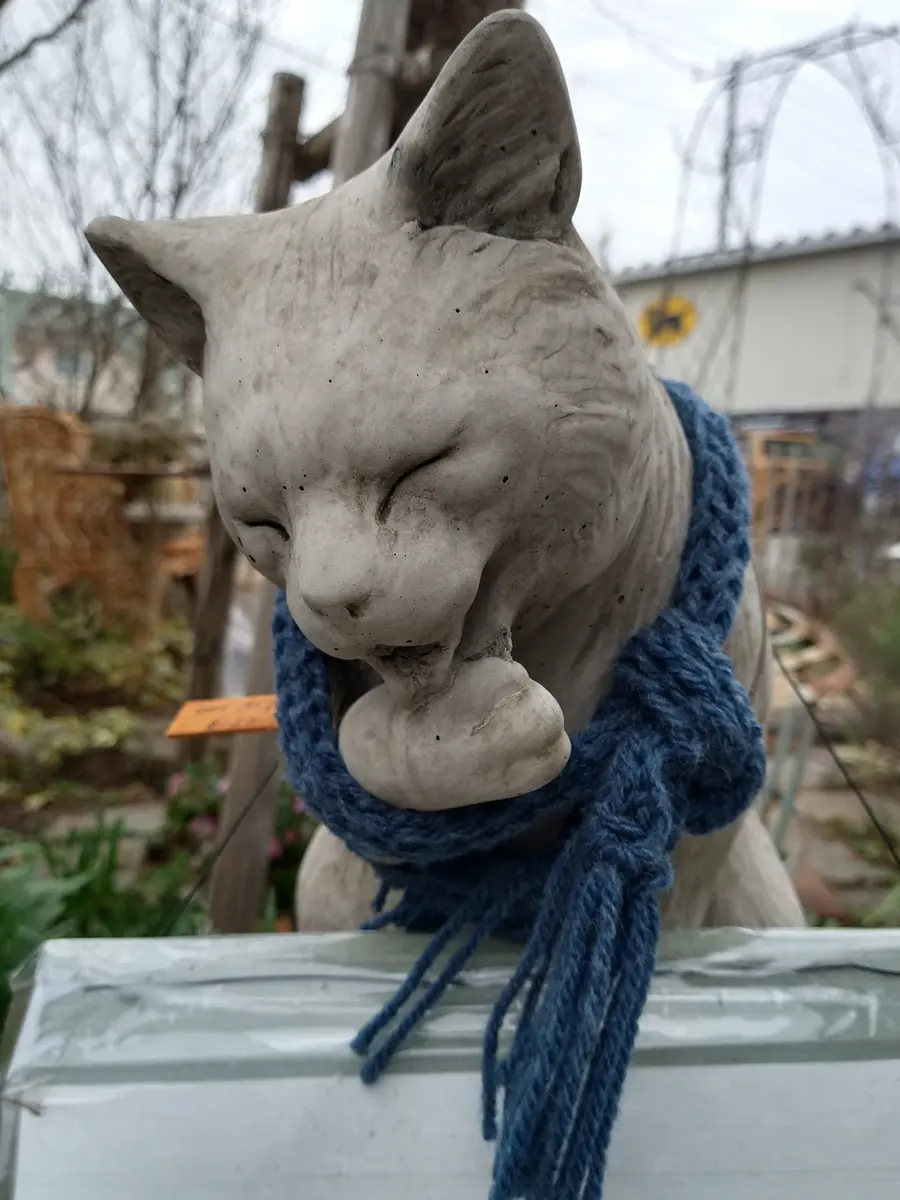 ワンダーデコール｜園芸日記byかよぽち｜みんなの趣味の園芸｜781458