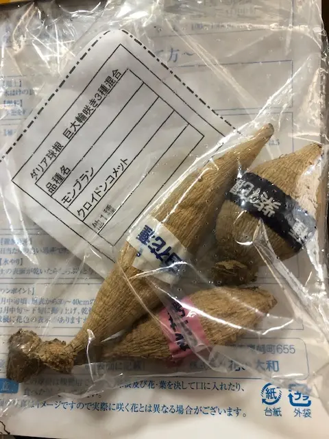 ダリア球根 みち様確認用 （ダリア、球根届きました?｜園芸日記by 