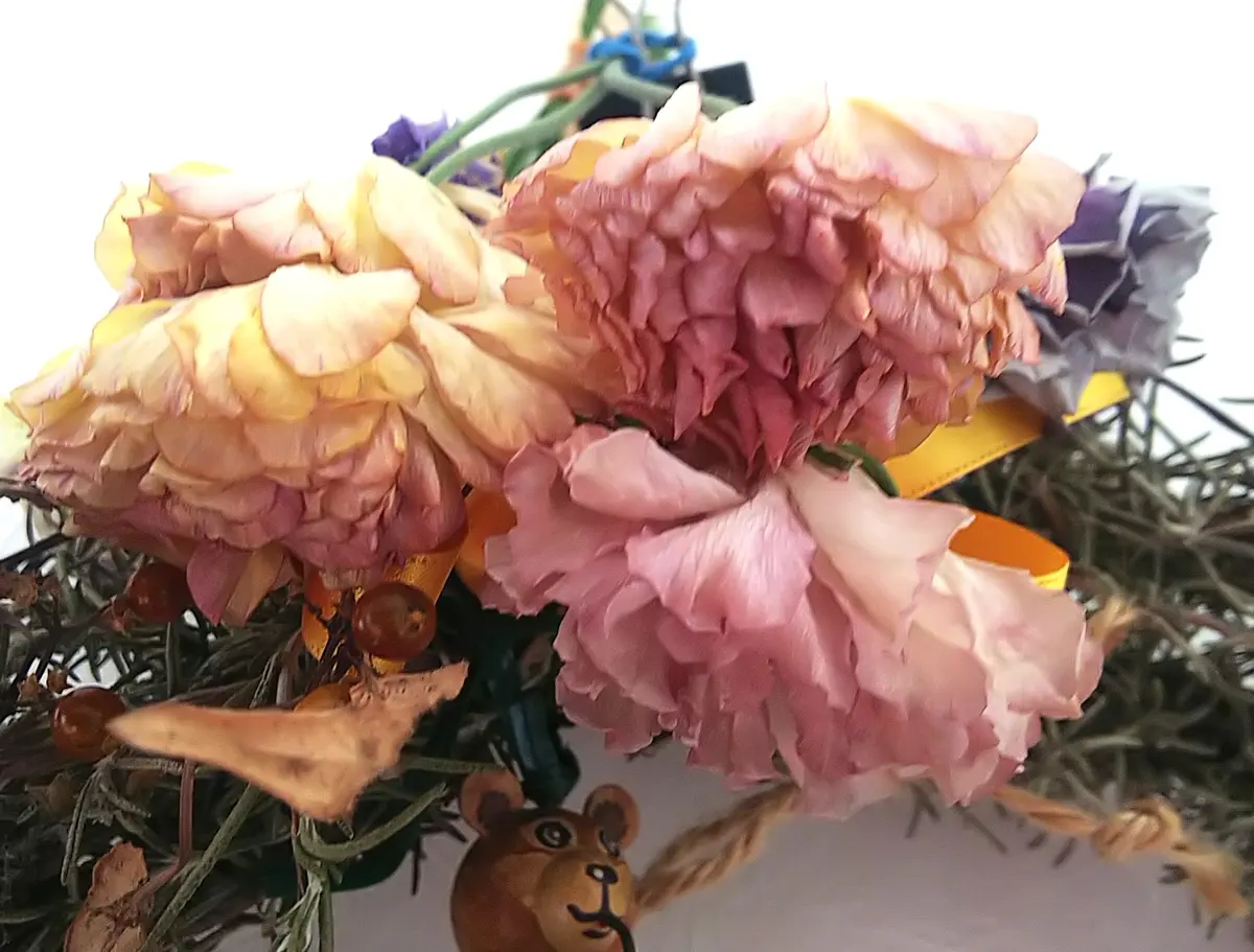 ラックスをドライフラワーに🌺｜園芸日記byjictenko｜みんなの趣味の