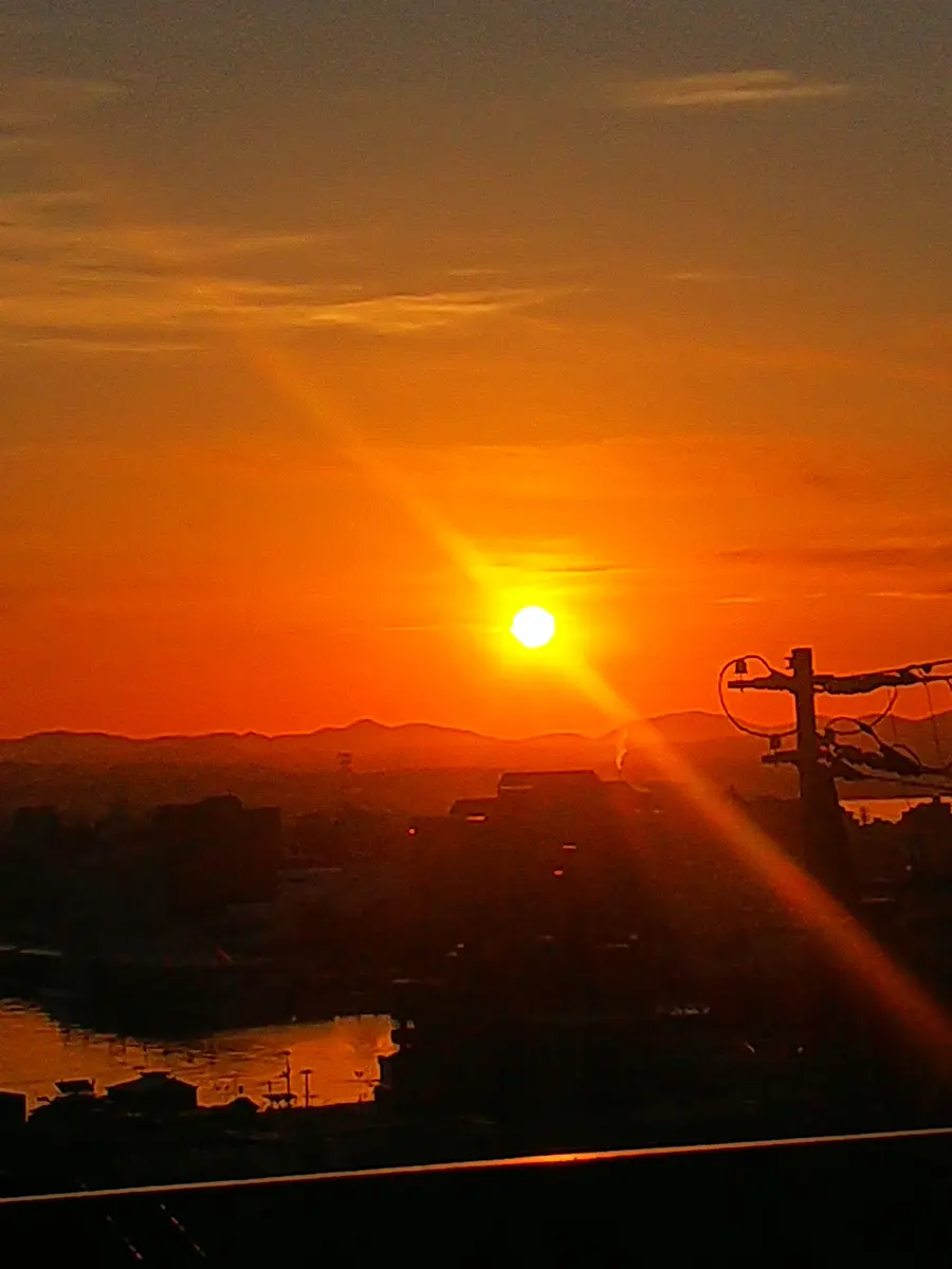今日の日の出🌅｜園芸日記byjictenko｜みんなの趣味の園芸｜803161