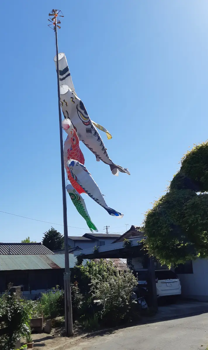 鯉のぼりの柱