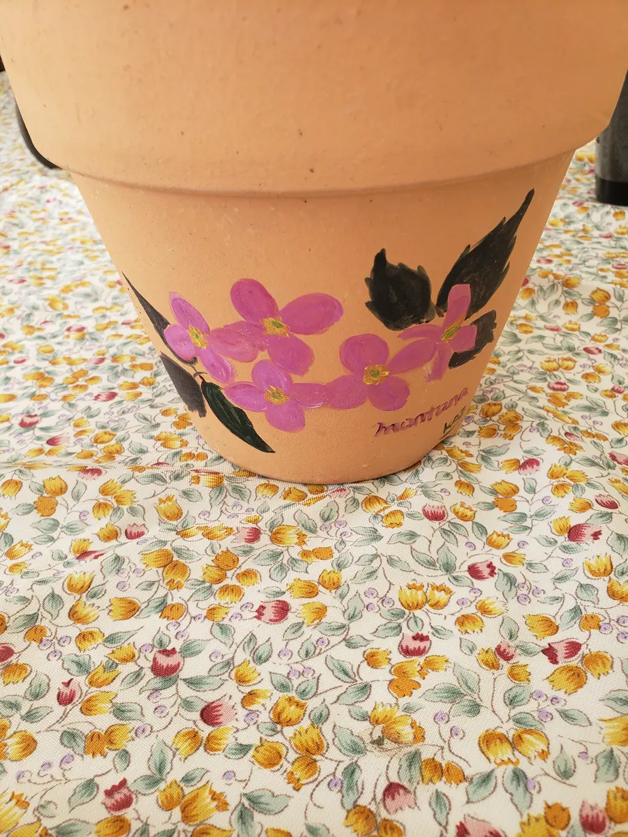 素焼き鉢　3個セット　オリジナルペイント鉢sp-1 素焼き鉢 3個セット オリジナルペイント鉢sp-1