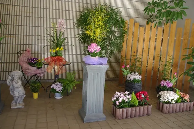 ウーパールーパー｜園芸日記byボタンちゃん｜みんなの趣味の園芸｜81038