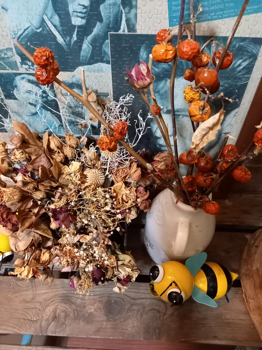 ドライフラワーたち ドライフラワーシャ－ビ－なお花たちのフライング