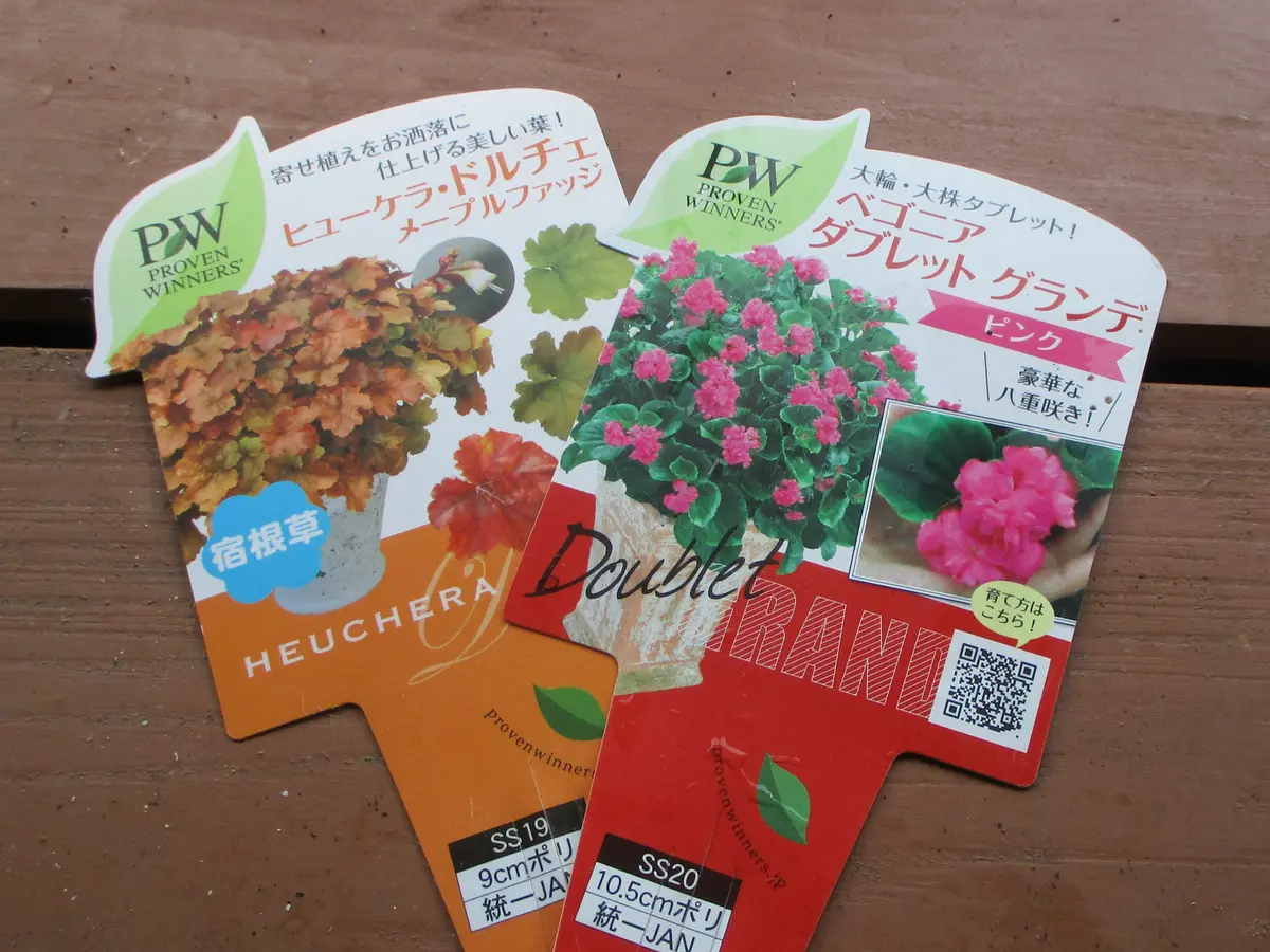 ハクサンPW苗｜園芸日記byたーたん｜みんなの趣味の園芸｜834909