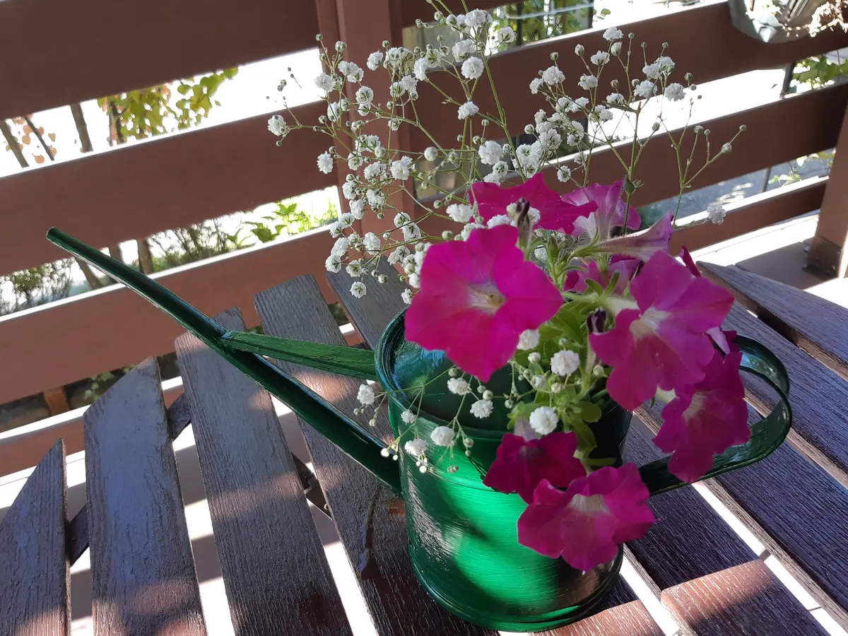ジョウロのリメイク➰♪💠｜園芸日記byひろガーデン｜みんなの趣味の