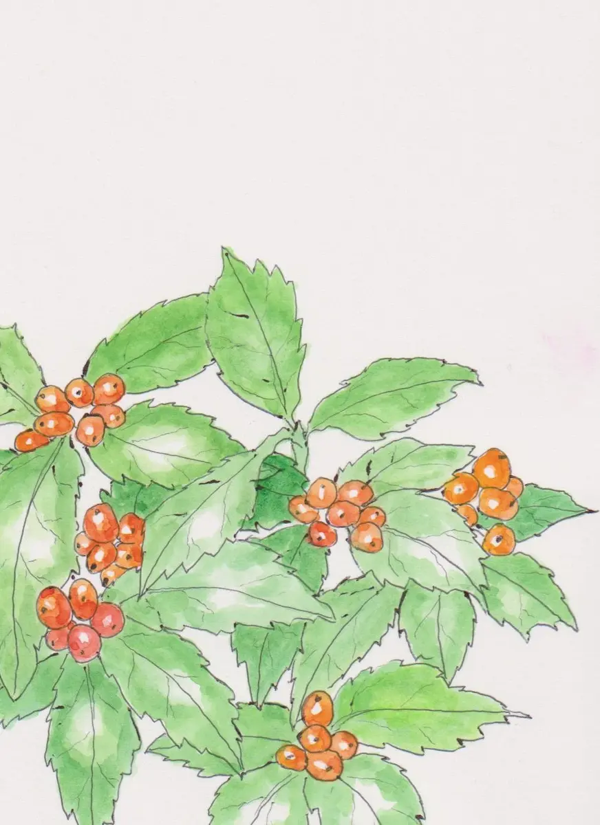 二枚の絵（千両の赤い実）（ナンキンハゼの木の紅葉）｜園芸日記