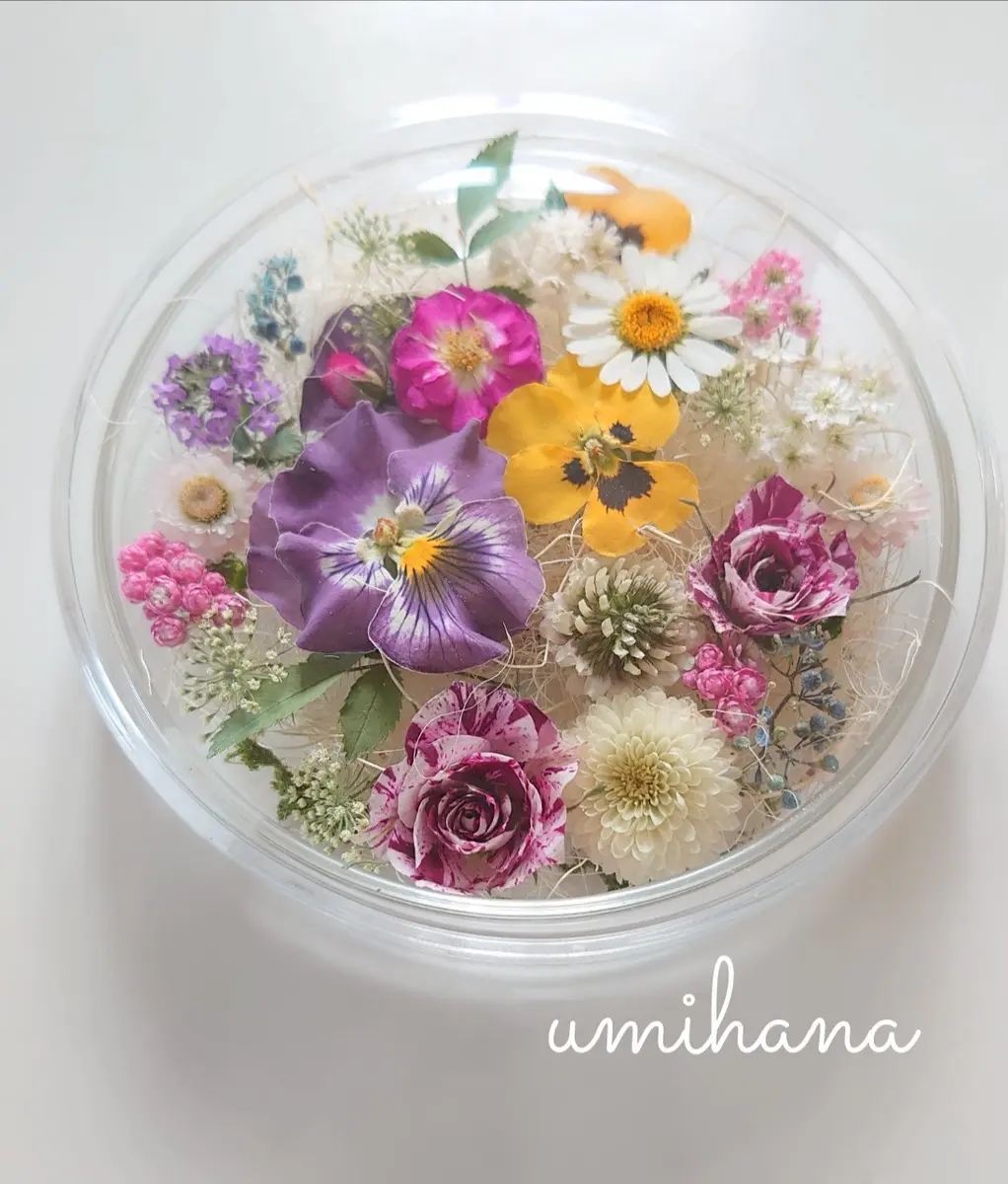 海花(うみはな)さんの園芸日記-みんなの趣味の園芸 