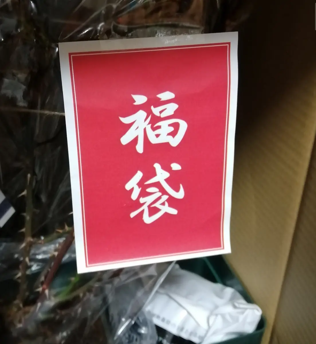 🌹2022バラの福袋、開封🌹｜園芸日記byらくとあいす｜みんなの趣味の