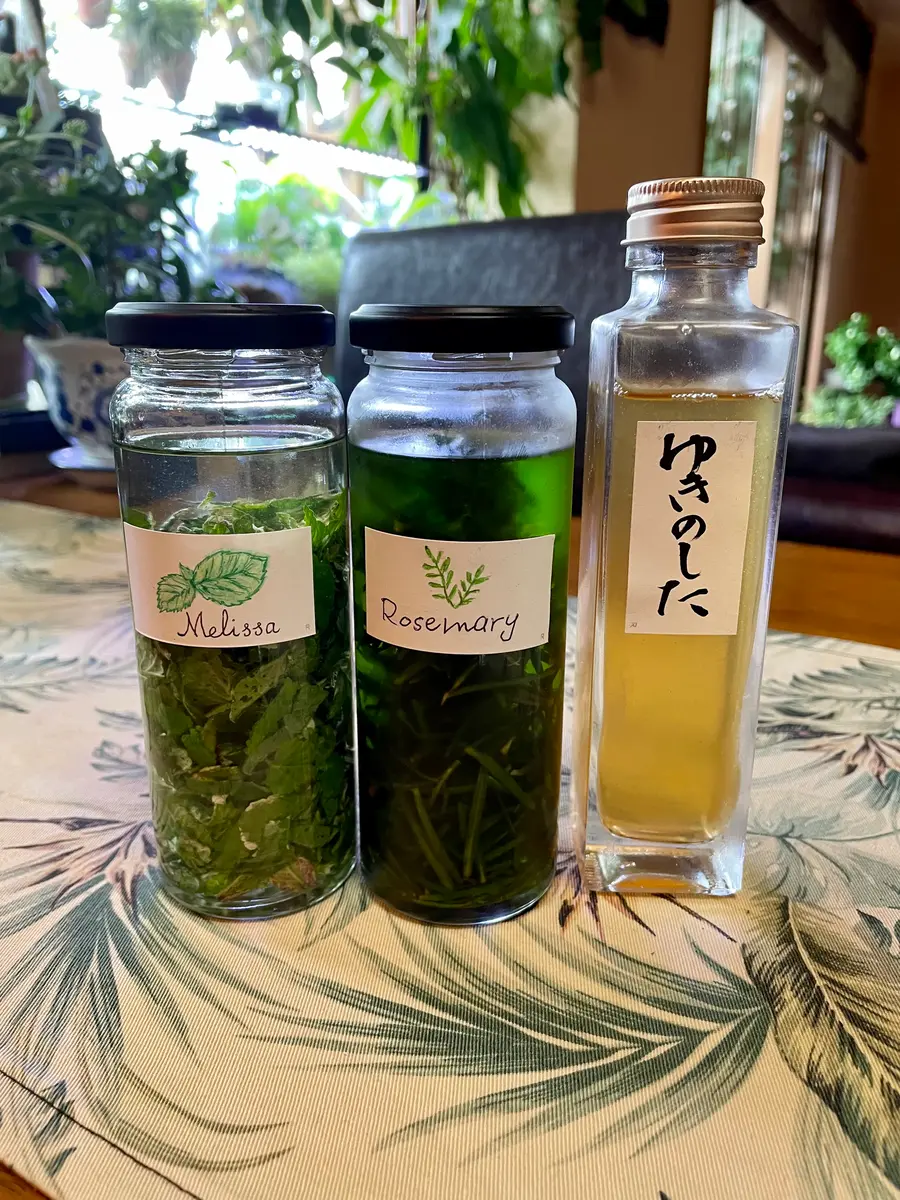 ハーブティンクチャー。｜園芸日記byしぃやん｜みんなの趣味の園芸｜905864