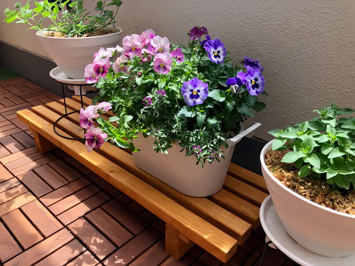花台⚒DIY〜出来上がりました♪｜園芸日記bymocomaru｜みんなの
