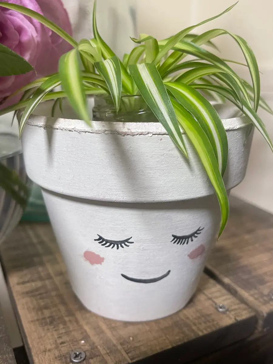 雨なので、素焼き鉢をリメイクしました😊｜園芸日記by—seiko