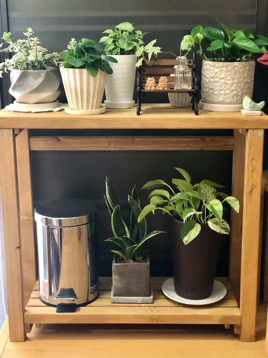 観葉植物の棚をDIY〜♪｜園芸日記bymocomaru｜みんなの趣味の