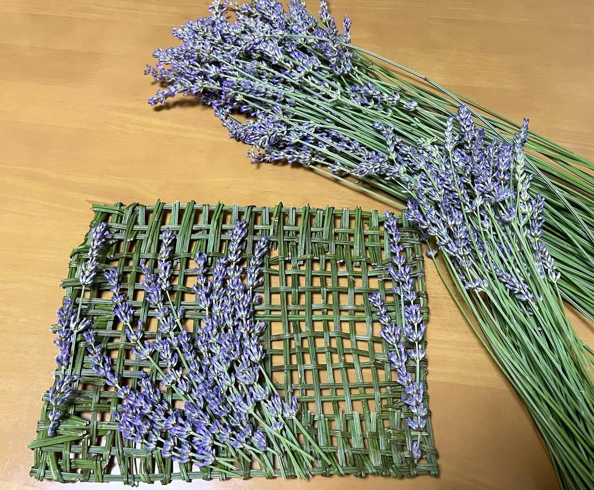 有名作家様製 コン吉 ラベンダー 有名作家様製 コン吉 ラベンダー