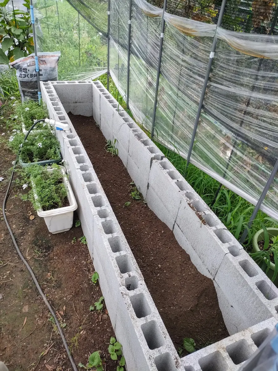 いちご様 多肉植物棚 GAI-W80A （何でも揃う 高枝チェーンソー